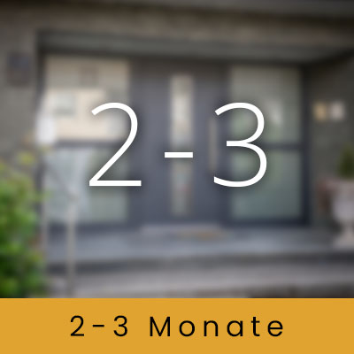 2-3 Monate